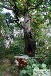 시흥동 모랫말 도당대 - 성황나무 썸네일 이미지