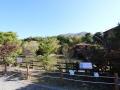 성남시립식물원 은행자연관찰원 생태연못 썸네일 이미지