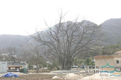 대표시청각 이미지