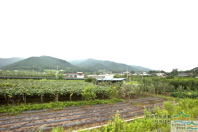 대표시청각 이미지