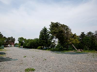 명지초등학교 삼길포분교 터 썸네일 이미지