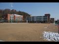 전주 교육 대학교 군산 부설 초등학교 전경 썸네일 이미지