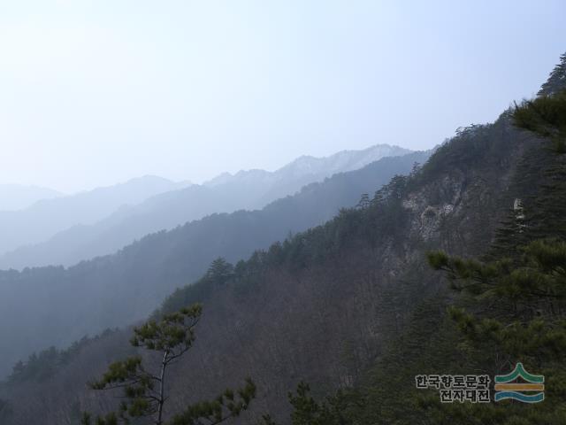 대표시청각 이미지