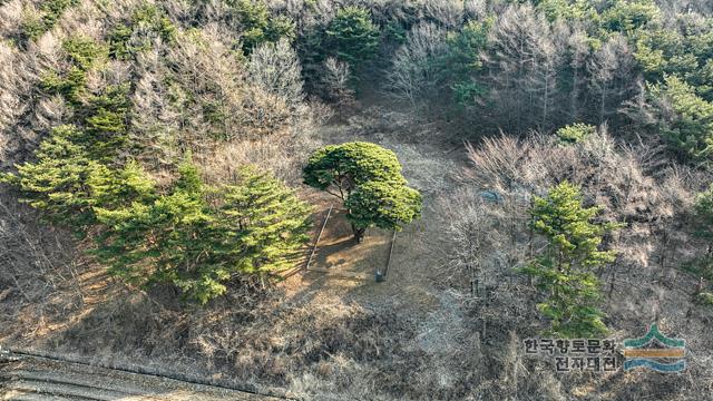 대표시청각 이미지